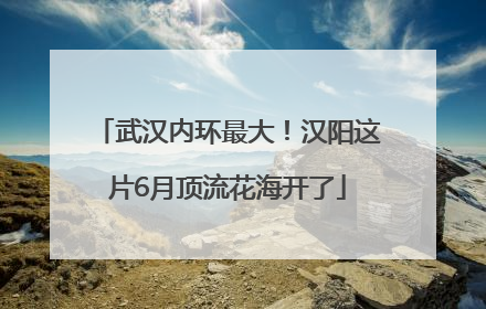 武汉内环最大！汉阳这片6月顶流花海开了