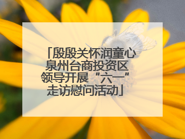 殷殷关怀润童心 泉州台商投资区领导开展“六一”走访慰问活动