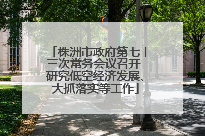 株洲市政府第七十三次常务会议召开 研究低空经济发展、大抓落实等工作