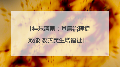 桂东清泉：基层治理提效能 改善民生增福祉
