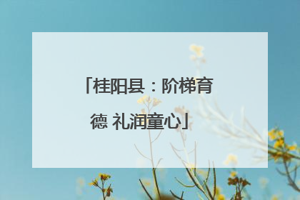 桂阳县：阶梯育德 礼润童心
