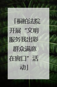 桐柏法院开展“文明服务我出彩 群众满意在窗口”活动
