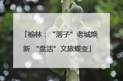 榆林：“落子”老城焕新 “盘活”文旅蝶变