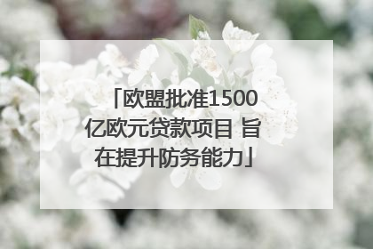 欧盟批准1500亿欧元贷款项目 旨在提升防务能力