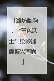 潍坊临朐：“三色沃土”绘彩铺展振兴画卷