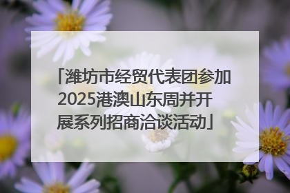 潍坊市经贸代表团参加2025港澳山东周并开展系列招商洽谈活动