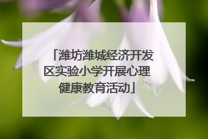 潍坊潍城经济开发区实验小学开展心理健康教育活动