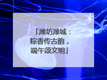 潍坊潍城：粽香传古韵，端午颂文明