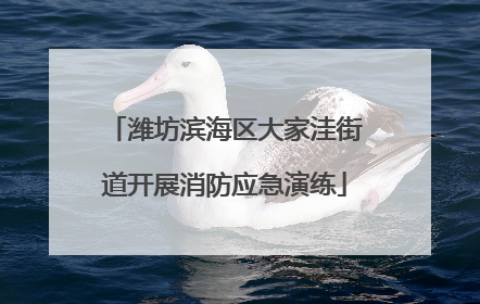 潍坊滨海区大家洼街道开展消防应急演练