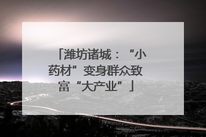 潍坊诸城：“小药材”变身群众致富“大产业”