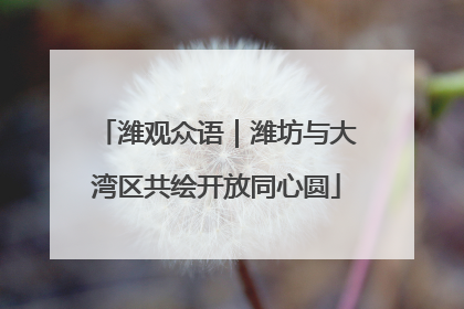 潍观众语｜潍坊与大湾区共绘开放同心圆