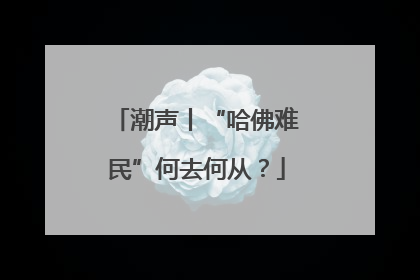 潮声丨“哈佛难民”何去何从？