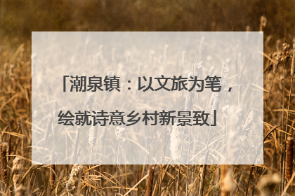 潮泉镇：以文旅为笔，绘就诗意乡村新景致