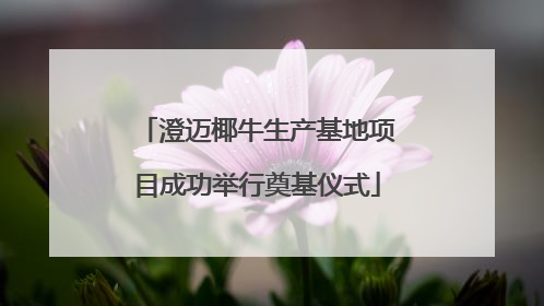 澄迈椰牛生产基地项目成功举行奠基仪式