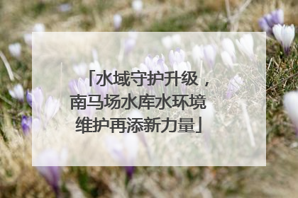 水域守护升级，南马场水库水环境维护再添新力量