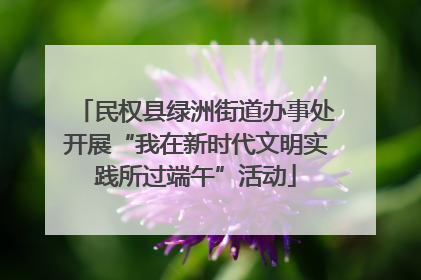 民权县绿洲街道办事处开展“我在新时代文明实践所过端午”活动