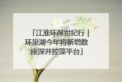 江淮环保世纪行｜环巢湖今年将新增数座深井控藻平台
