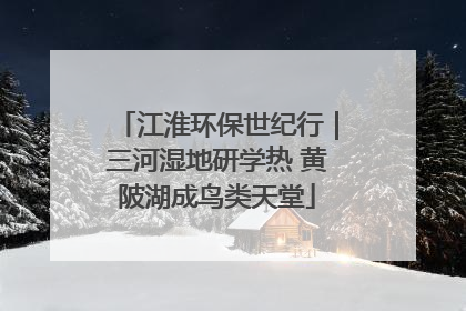 江淮环保世纪行｜三河湿地研学热 黄陂湖成鸟类天堂