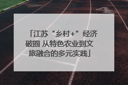 江苏“乡村+”经济破圈 从特色农业到文旅融合的多元实践