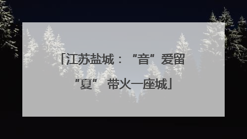江苏盐城：“音”爱留“夏” 带火一座城