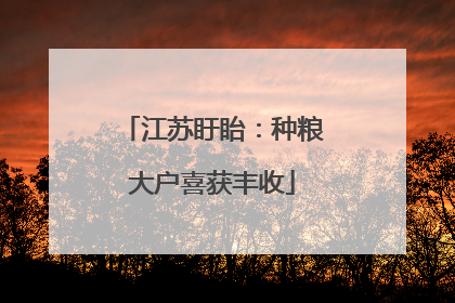 江苏盱眙：种粮大户喜获丰收
