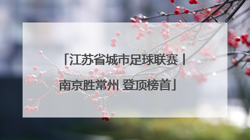 江苏省城市足球联赛丨南京胜常州 登顶榜首