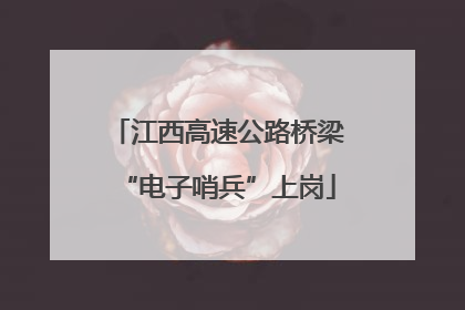 江西高速公路桥梁“电子哨兵”上岗