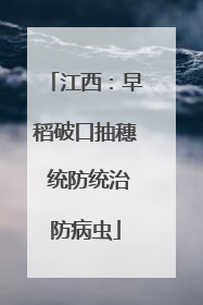 江西：早稻破口抽穗 统防统治防病虫