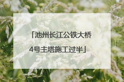池州长江公铁大桥4号主塔施工过半