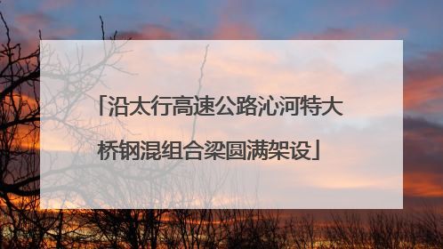 沿太行高速公路沁河特大桥钢混组合梁圆满架设