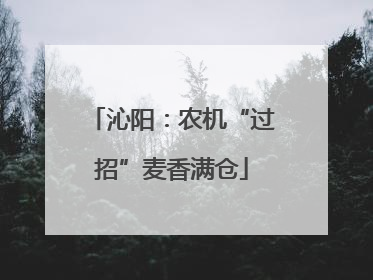 沁阳：农机“过招”麦香满仓