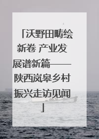 沃野田畴绘新卷 产业发展谱新篇——陕西岚皋乡村振兴走访见闻