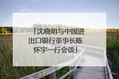 沈晓明与中国进出口银行董事长陈怀宇一行会谈