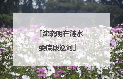 沈晓明在涟水娄底段巡河
