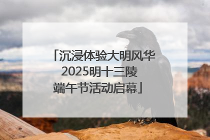 沉浸体验大明风华 2025明十三陵端午节活动启幕