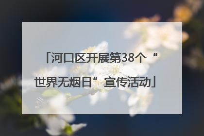 河口区开展第38个“世界无烟日”宣传活动