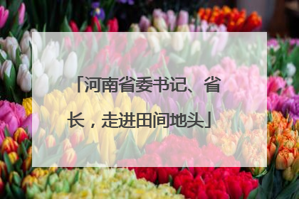 河南省委书记、省长，走进田间地头