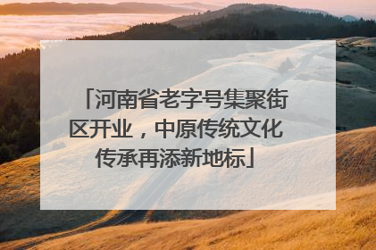河南省老字号集聚街区开业，中原传统文化传承再添新地标