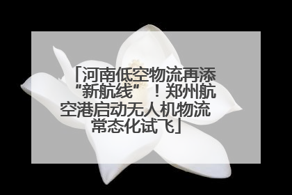 河南低空物流再添“新航线”！郑州航空港启动无人机物流常态化试飞