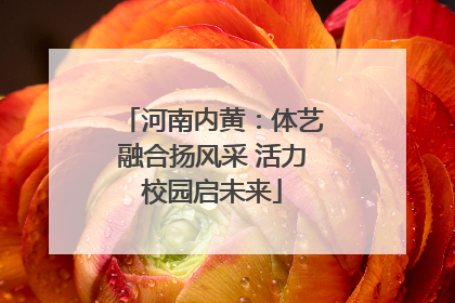 河南内黄：体艺融合扬风采 活力校园启未来