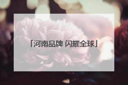 河南品牌 闪耀全球