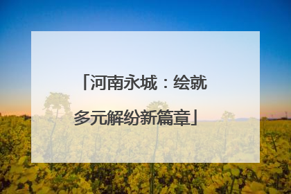 河南永城：绘就多元解纷新篇章