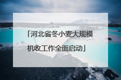 河北省冬小麦大规模机收工作全面启动