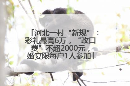 河北一村“新规”：彩礼最高6万，“改口费”不超2000元，婚宴限每户1人参加