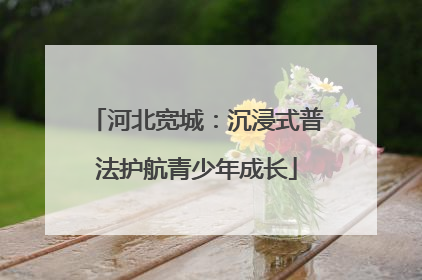 河北宽城：沉浸式普法护航青少年成长