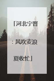 河北宁晋：风吹麦浪夏收忙