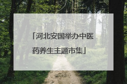 河北安国举办中医药养生主题市集