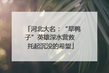 河北大名：“旱鸭子”英雄深水营救 托起沉没的希望