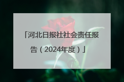 河北日报社社会责任报告（2024年度）