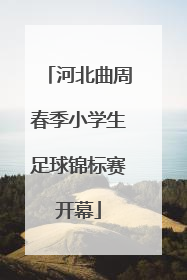 河北曲周春季小学生足球锦标赛开幕